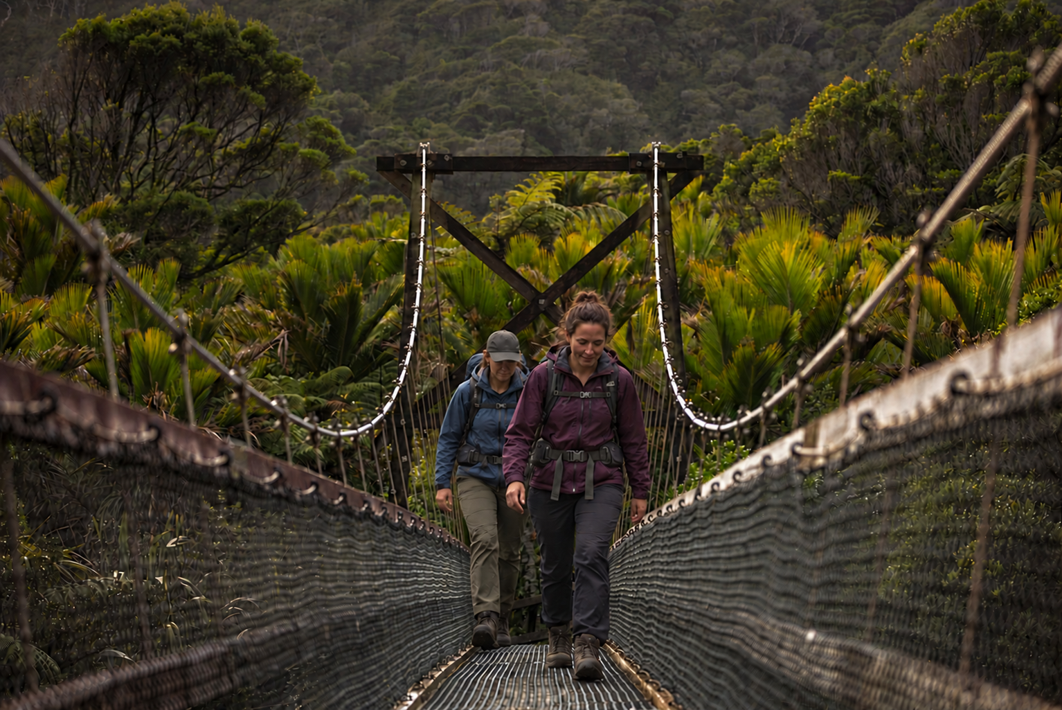 Home – Bridge